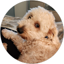 penny sullivan profile picture